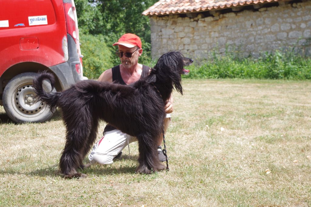 chahcheran Magie noire